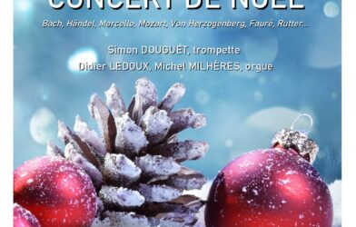 Amis de l’orgue de Rouillé Concerts des 13 et 14 décembre au temple