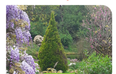 parole en pays mellois